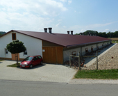 Legehennen Freiland-Stall